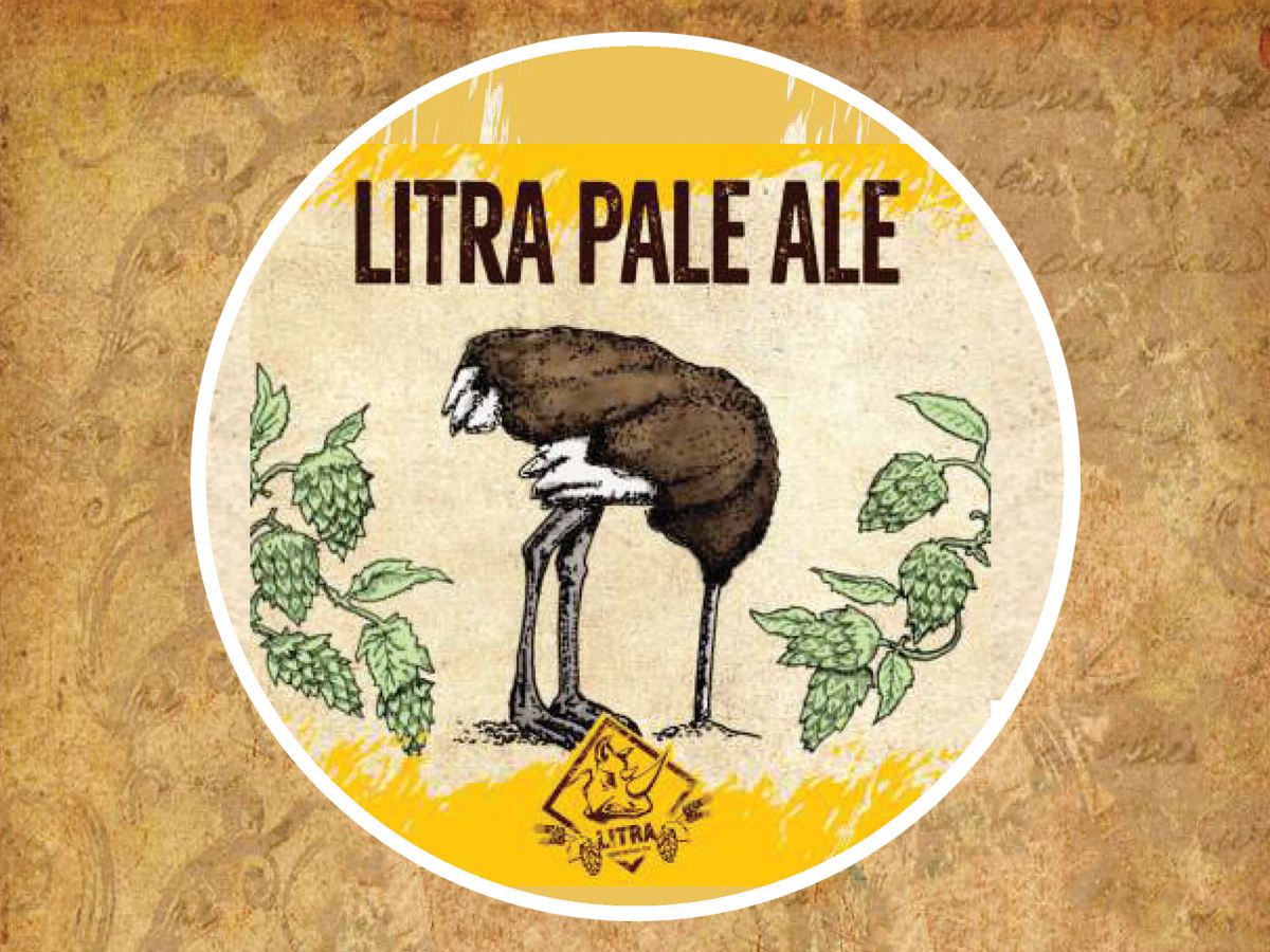 Litra Pale Ale Order Delivery Litra Pale Ale in Chisinau STRAUS