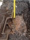 Pothole fault reported - Hallsford Business Centre, Hallsford Bridge Industrial, Ongar, Essex CM5 9RE, UK