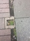 Pavement/Footpath fault reported - 499 Bromley Rd, Bromley BR1 4PQ, UK
