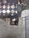 Pavement/Footpath fault reported - 276 Lewisham High St, London SE13, UK