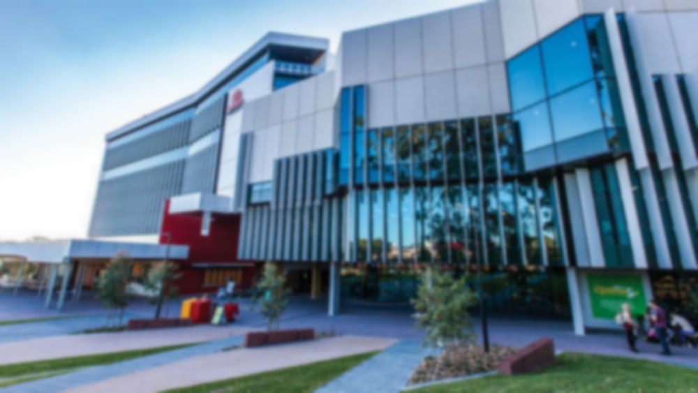 Griffith University StuDocu