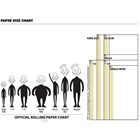 RAW ORGANIC SINGLE WIDE PAPERS - 50 PACK