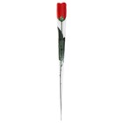 ROSE IN ACETATE AND CDU