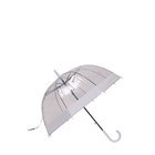 SWL - ADULT DOME UMBRELLA ASSORTED COLOURS