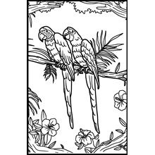 MEDIUM COLOURING BOARDS - PARROTS