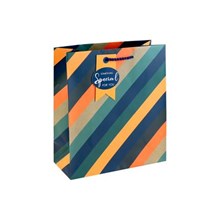 STRIPE MEDIUM GIFT BAG