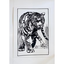 LARGE COLOURING BOARD - WALKING TIGER