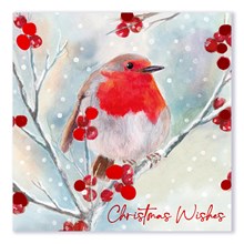 CHRISTMAS TRADITIONAL ROBIN  WHITE KRAFT CARD 12 PACK