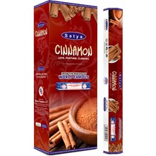 SATYA HEXA CINNAMON - 6 PACK