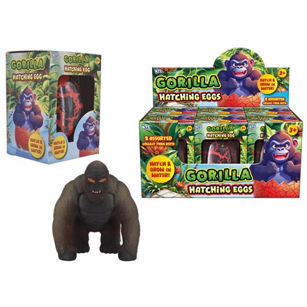 LARGE GROWING GORILLA IN EGG