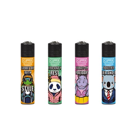 CLIPPER PRINTED FLINT - BE YOURSELF 3 - 48 PACK