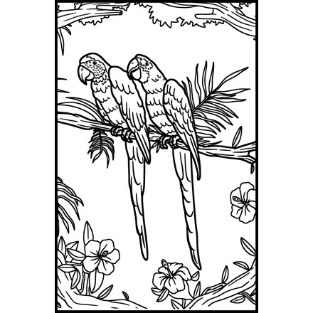 MEDIUM COLOURING BOARDS - PARROTS