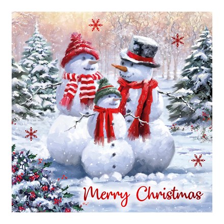 CHRISTMAS SNOWMAN / ROBIN CARDS 12 PACK