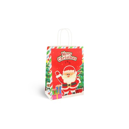 CHRISTMAS PAPER BAG WITH HANDLES (16 CM X 22 CM X 8CM)