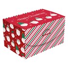 FUNKY SANTA FLAT PACK BOX