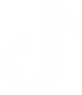 TikTok link