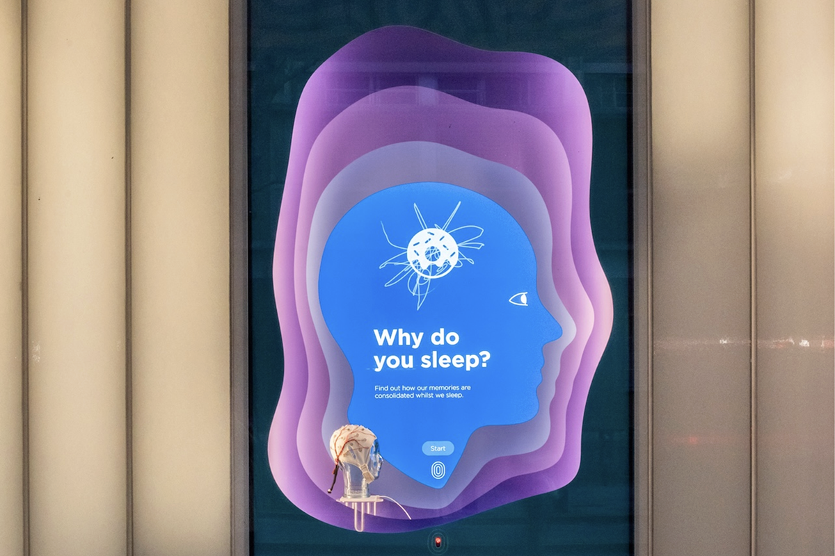 SWC Interactive Vitrines