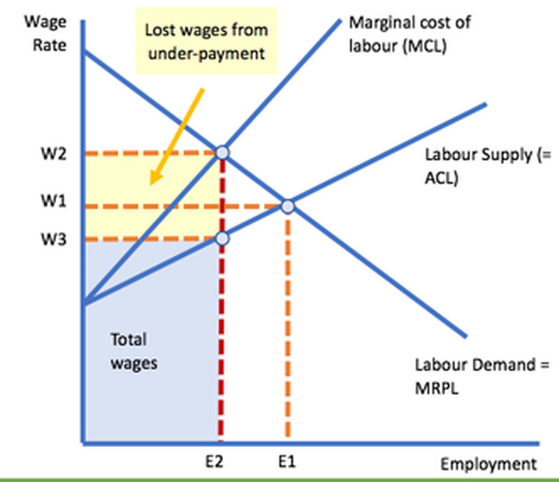 Monopsony Power in the Labour Market tutor2u