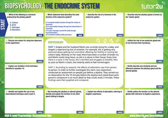 Endocrine System: AQA A Level Psychology… | Psychology | tutor2u