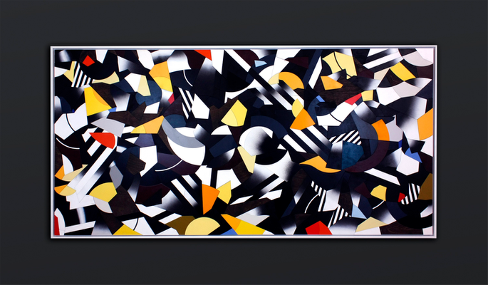 The Disruptive Camofleur 1