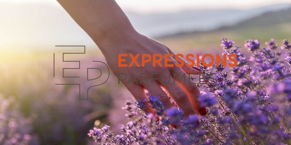 Expressions Parfumees