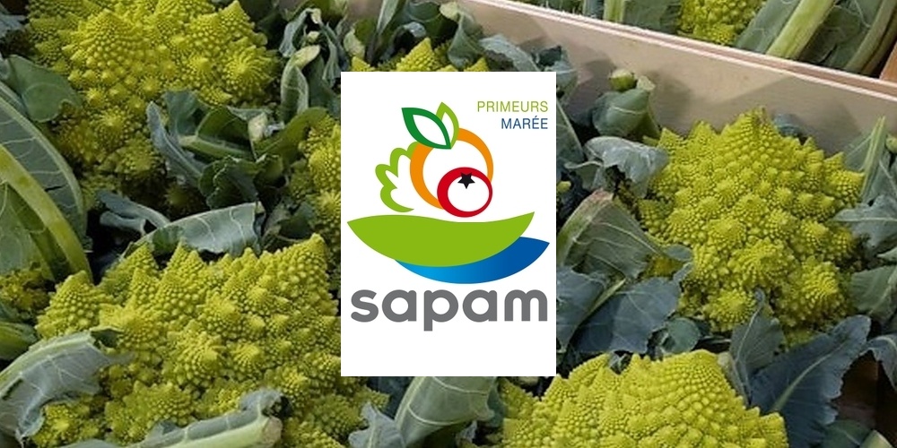 Sapam