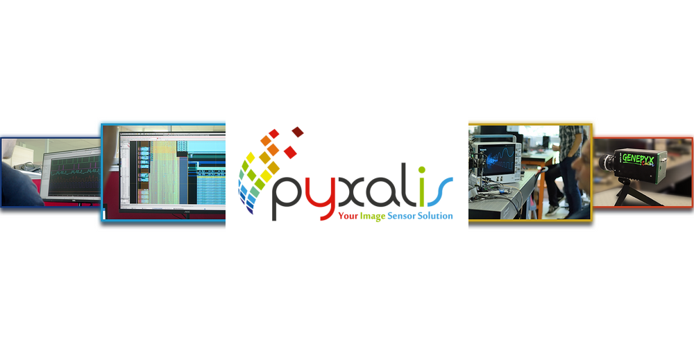 Pyxalis