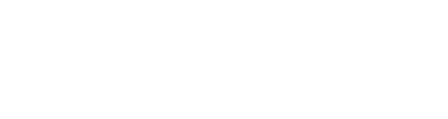 Palfinger Service Masche