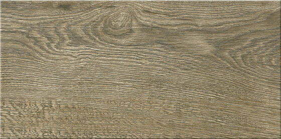 G309 29,7x59,8