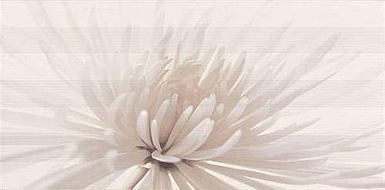 Avangarde White Inserto Flower 29,7x60