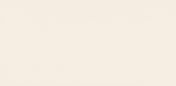 Elissa Beige Matt 29x59,3