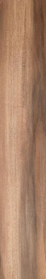Softwood Beige 14,7x89