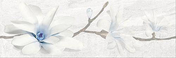 Stone Flowers Grey Inserto 25x75