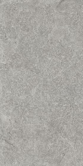 Flash Grys Mat 30x60