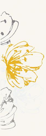 Midian Giallo Inserto Kwiat 20x60