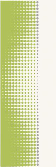 Midian Verde Inserto Punto 20x60