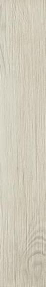 Thorno Bianco Mat 16x98,5