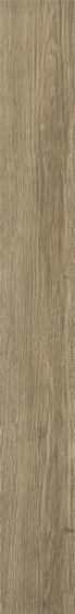 Almonte Brown Mat 14,8x119,8