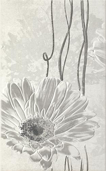 Andante Grys Inserto A 25x40