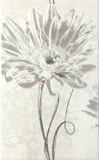 Andante Grys Inserto B 25x40
