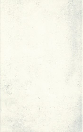 Muro Bianco 25x40
