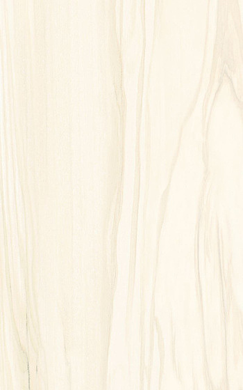 Nea Beige 25x40