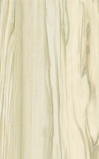 Nea Brown 25x40