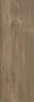 Wood Basic Brown 20x60