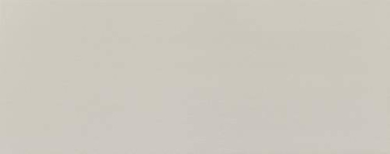 Elementary Dust 74,8x29,8