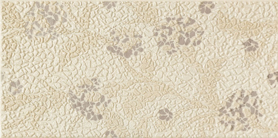 Lavish Beige Dekor 22,3x44,8