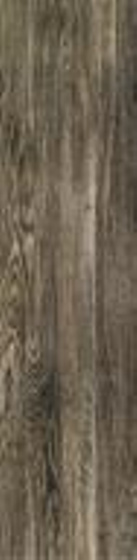 Terrane Grey Pol 119,8x19