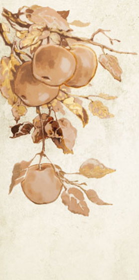 Enna Apple Dekor 22,3x44,8