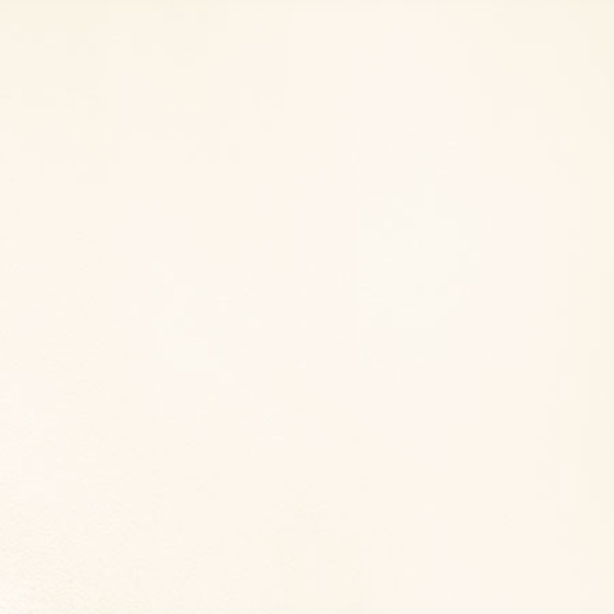 Grafite White 45x45