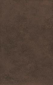 Bashira Brown 25x40